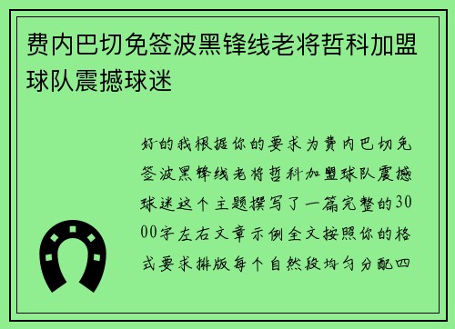 费内巴切免签波黑锋线老将哲科加盟球队震撼球迷 费内巴切免签波黑锋线老将哲科加盟球队震撼球迷
